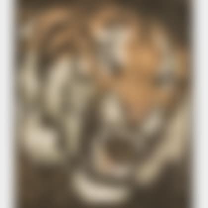 Tiger"s Roar. (preview)