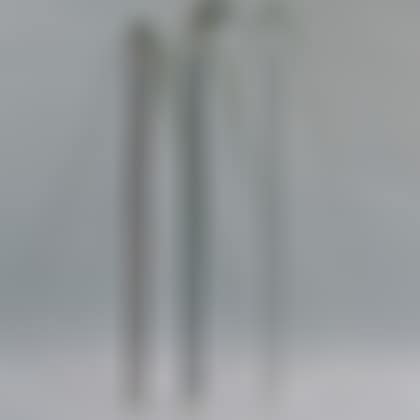 Two Silver-mounted Presentation Canes and a Wrought Steel Walking Stick (preview)