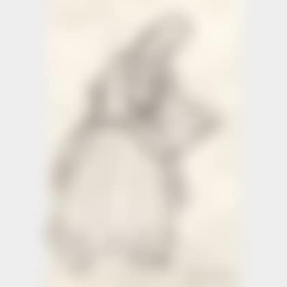 Purepechan Woman, Perhaps Dancing (preview)