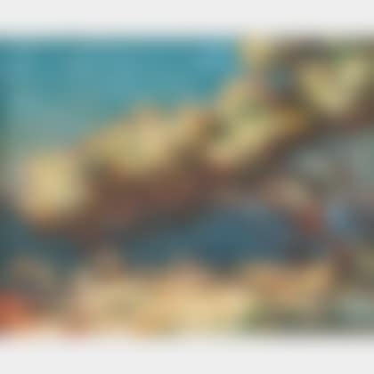 Cote d"Azur, Carqueiranne (preview)
