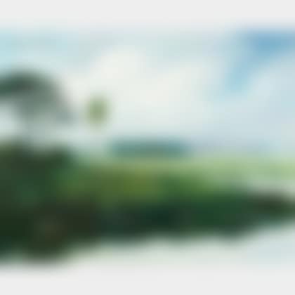 At the Myakka; A Florida View (preview)