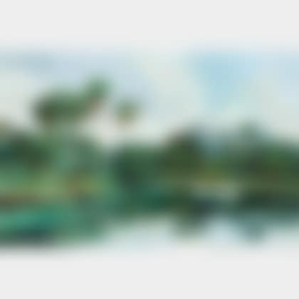 A Florida View (preview)