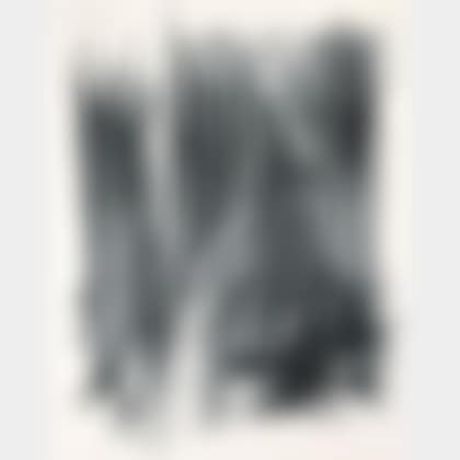 L 120 (preview)