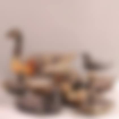 Eleven Assorted Waterfowl Decoys (preview)