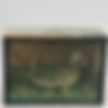 Black-painted Diorama of a Taxidermy Duck (preview)