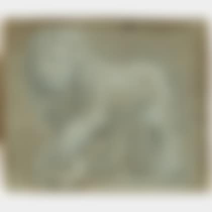 Two Works: Lions in Profile, One After the Medici Lions (preview)