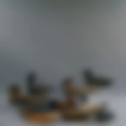Ten Assorted Waterfowl Decoys (preview)