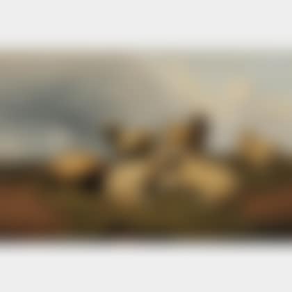 Sheep at Rest (preview)