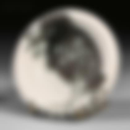 Bird with Worm (preview)