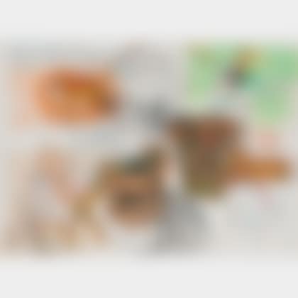 Bronx Zoo (preview)