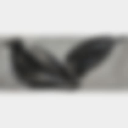 Two Gulls (preview)