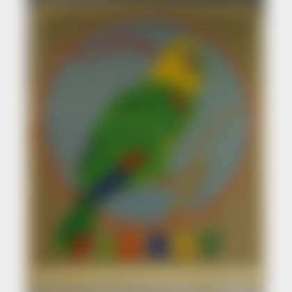 Parrot , from the DECADE Portfolio (preview)