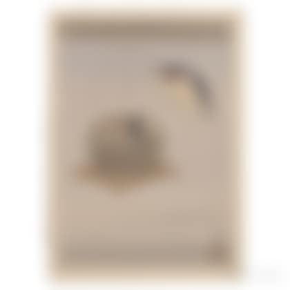 Bird"s Nest (preview)