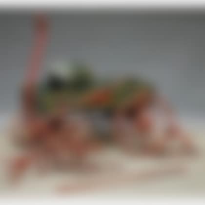 Polychrome-painted Child"s Wooden "Harvard" Wagon (preview)