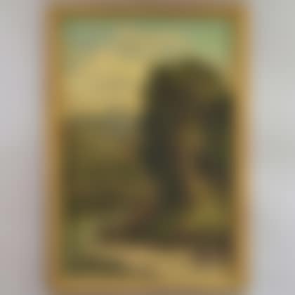 The Favorite Playing Spot/A White Mountain View (preview)