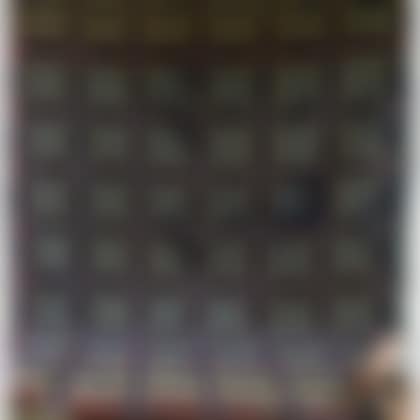 Two Wool and Cotton Woven Coverlets (preview)