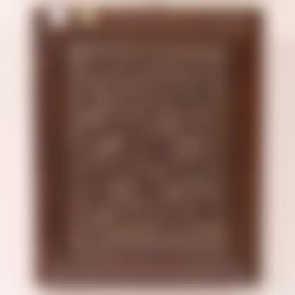 Chinese Carved Lacquer Panel (preview)