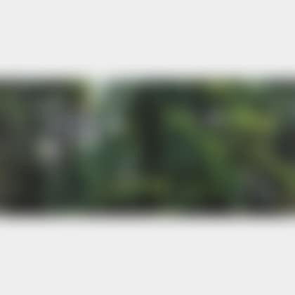 Garden View I (preview)