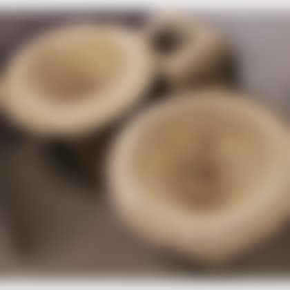 Pair of Large Concrete Urns (preview)