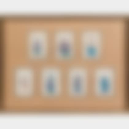 Seven Framed Chinese Portraits on Rice Paper (preview)