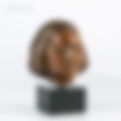 Head of a girl (preview)