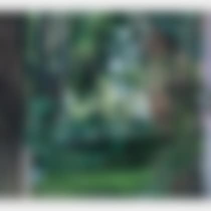 Neighbor"s Houses, Late Afternoon (preview)