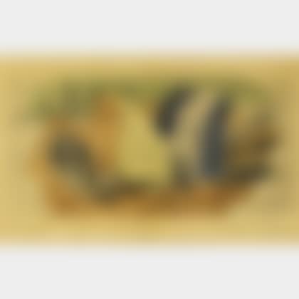 Still Life with Pipe (preview)