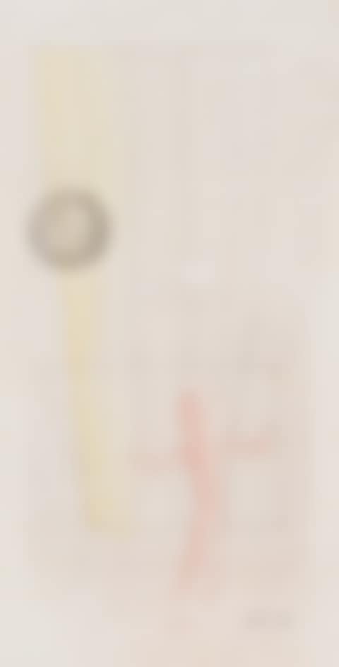 Junge mit Luftballons (preview)