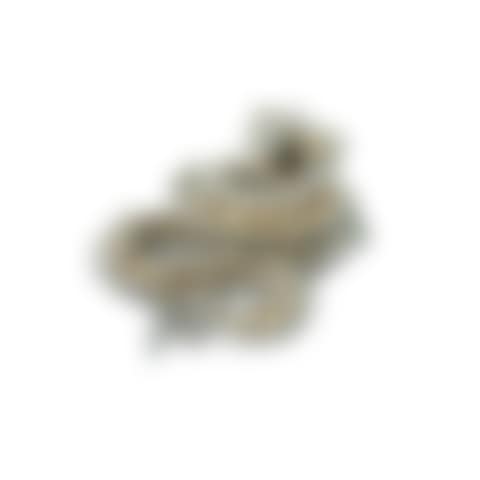 PixCell-Python (preview)