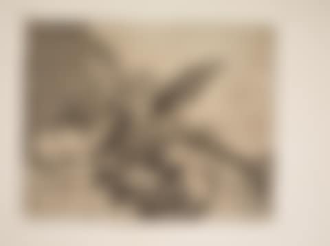Los Desastres de la Guerra (preview)