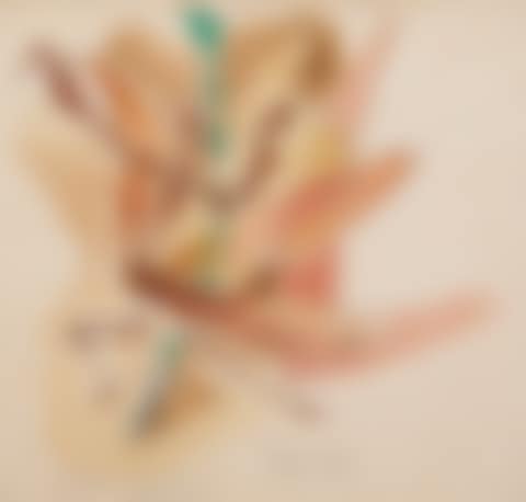 Insect (preview)