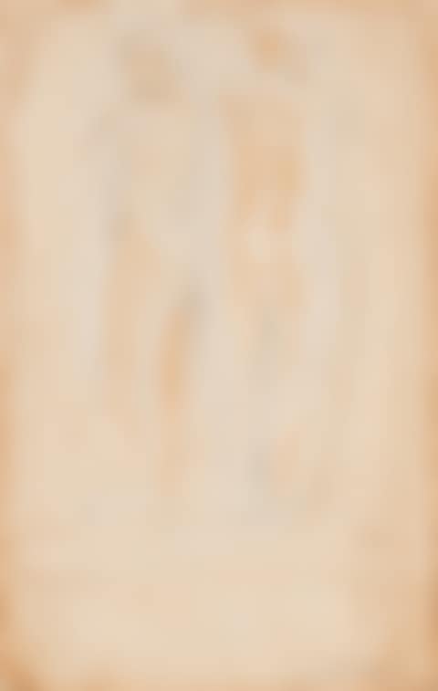 Young Girl (Brown on Brown) (preview)