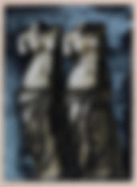 Double Venus in the Sky at Night (preview)