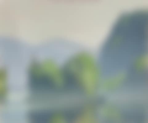 Early July Morning (preview)