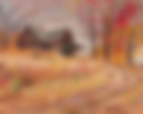 The Haunted House (preview)