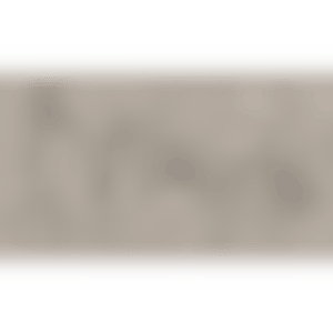 Still Life (Kusama 65) (preview)
