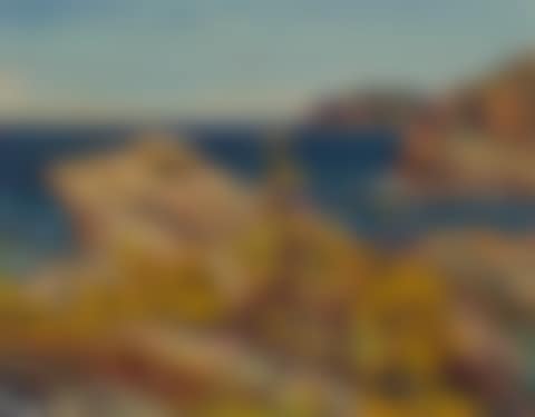 Near Puckasaw River, Nipigon, Lake Superior (preview)