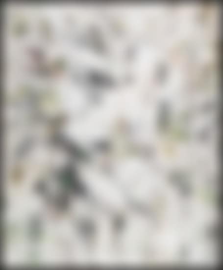 Tendresse des gris (preview)