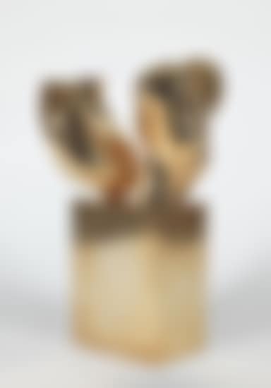 Echo de torse (preview)