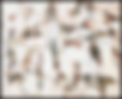 Libellules égarées (preview)