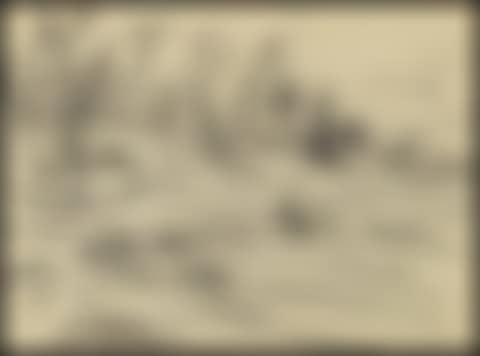 North Pine / Landscape (verso) (preview)