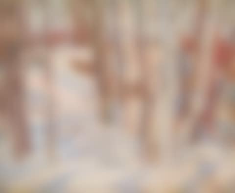 Birches, Bone Island (preview)