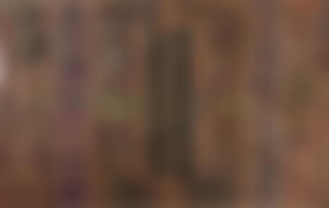 Untitled (preview)