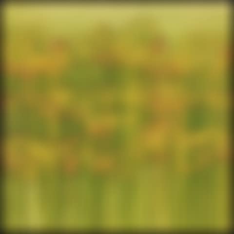 Untitled #1 (preview)