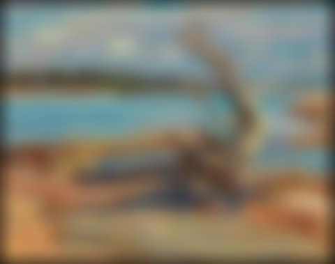 Morris Island - Split Rock in Distance (preview)