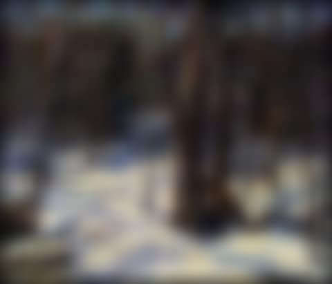 Winterwoods, BOB Cageon Country (00530/2013-T600) (preview)