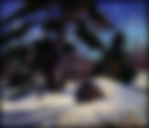 Old Pine Tree Near Buckhorn (00532/2013-T783) (preview)