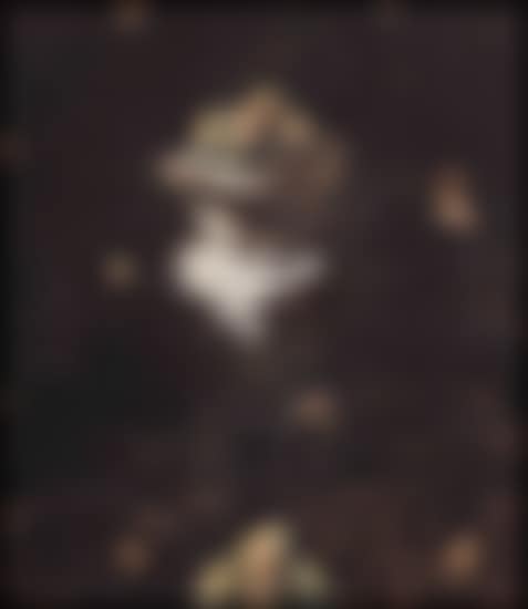 Location of Fruit (preview)