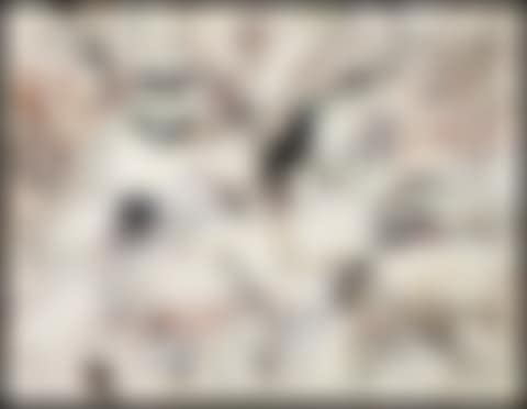 Gris-gris (preview)