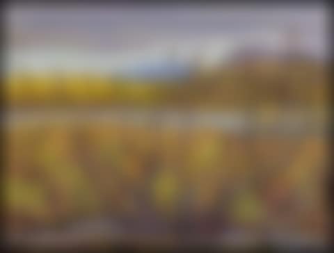 Muskeg on Alaska Highway (preview)